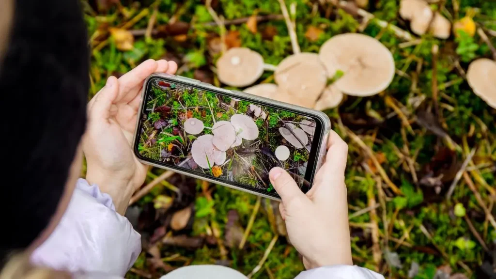 apps para identificar plantas