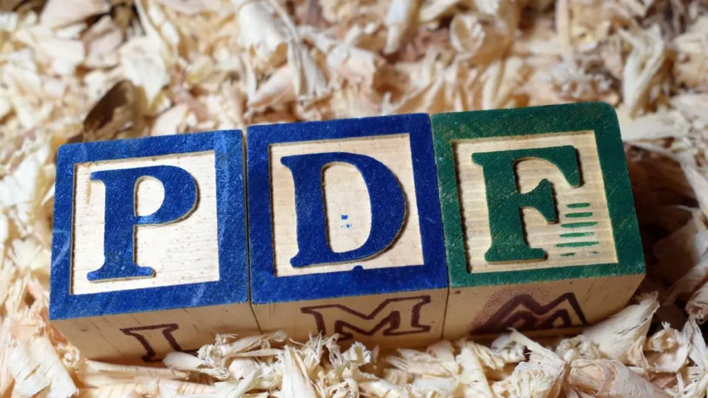 Converter PDF em Word.