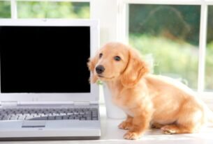 windows não inicia