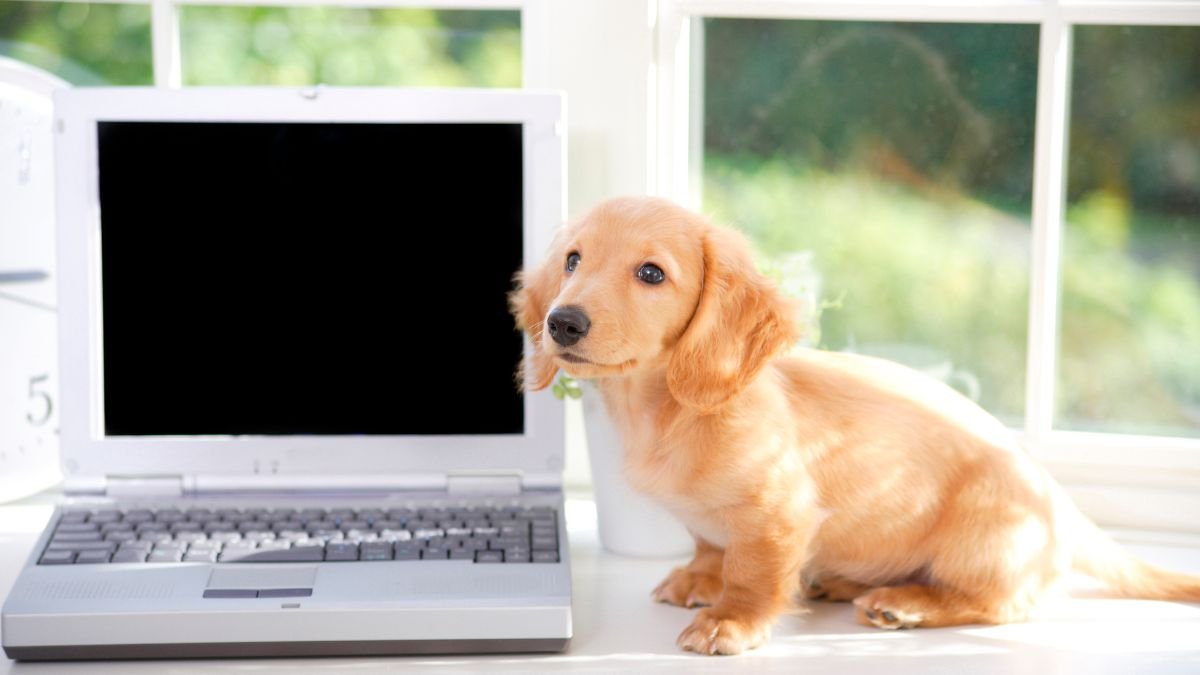 windows não inicia