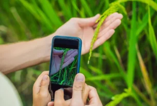 apps para identificar plantas